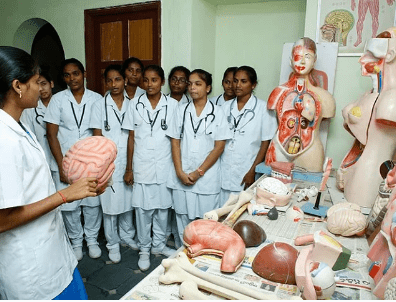 B.Sc Nursing